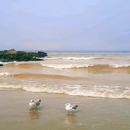 Apartamento In Near The *