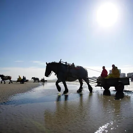 In Near The アパート