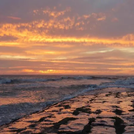 Apartamento In Near The *