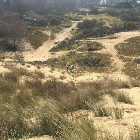 In Near The * ニーウポールト